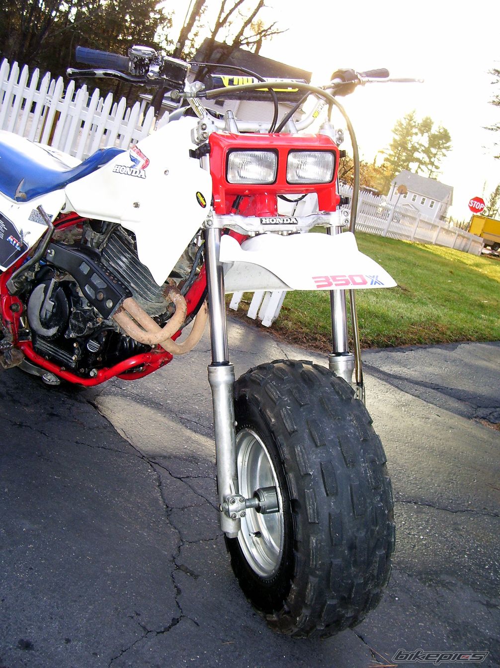 1985 HONDA ATC 350 | Picture 1476565 motorcycle photo