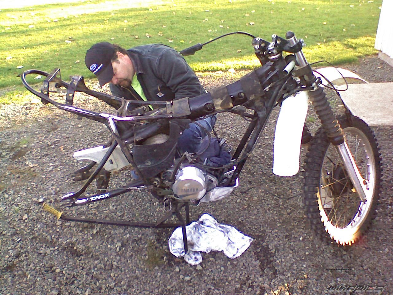1980 YAMAHA IT 250 | Picture 1477014 motorcycle photo