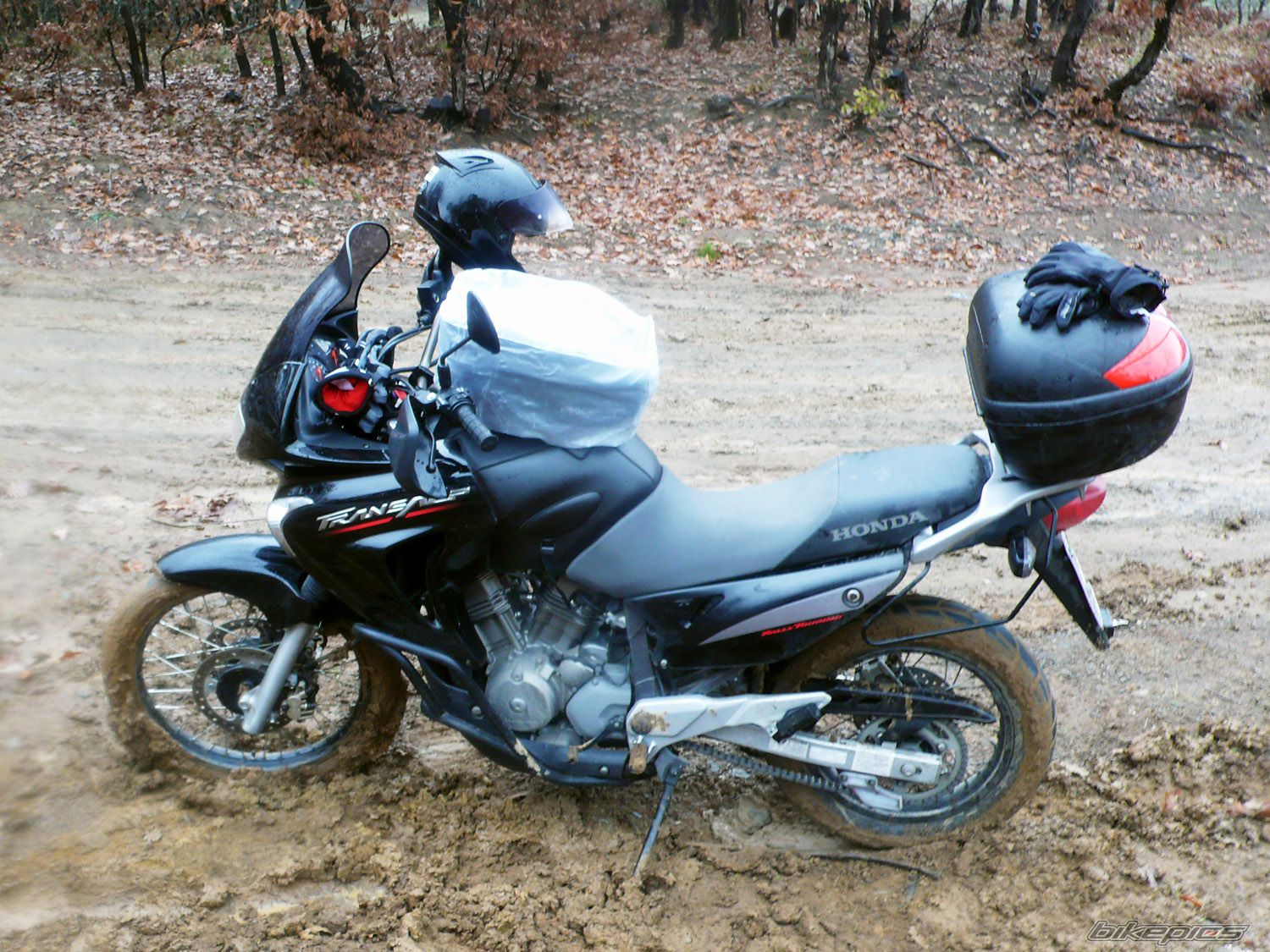 2007 HONDA XL 650V TRANSALP | Picture 1477019 motorcycle photo