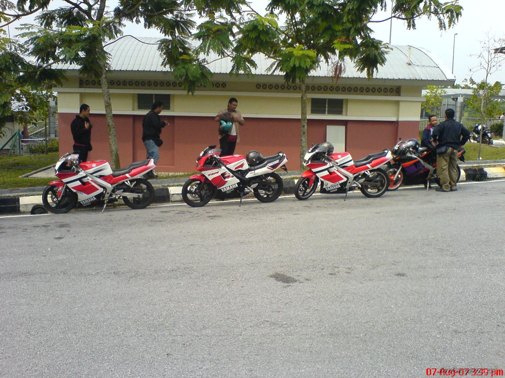 2009 YAMAHA TZM 150 | Picture 1477770 motorcycle photo