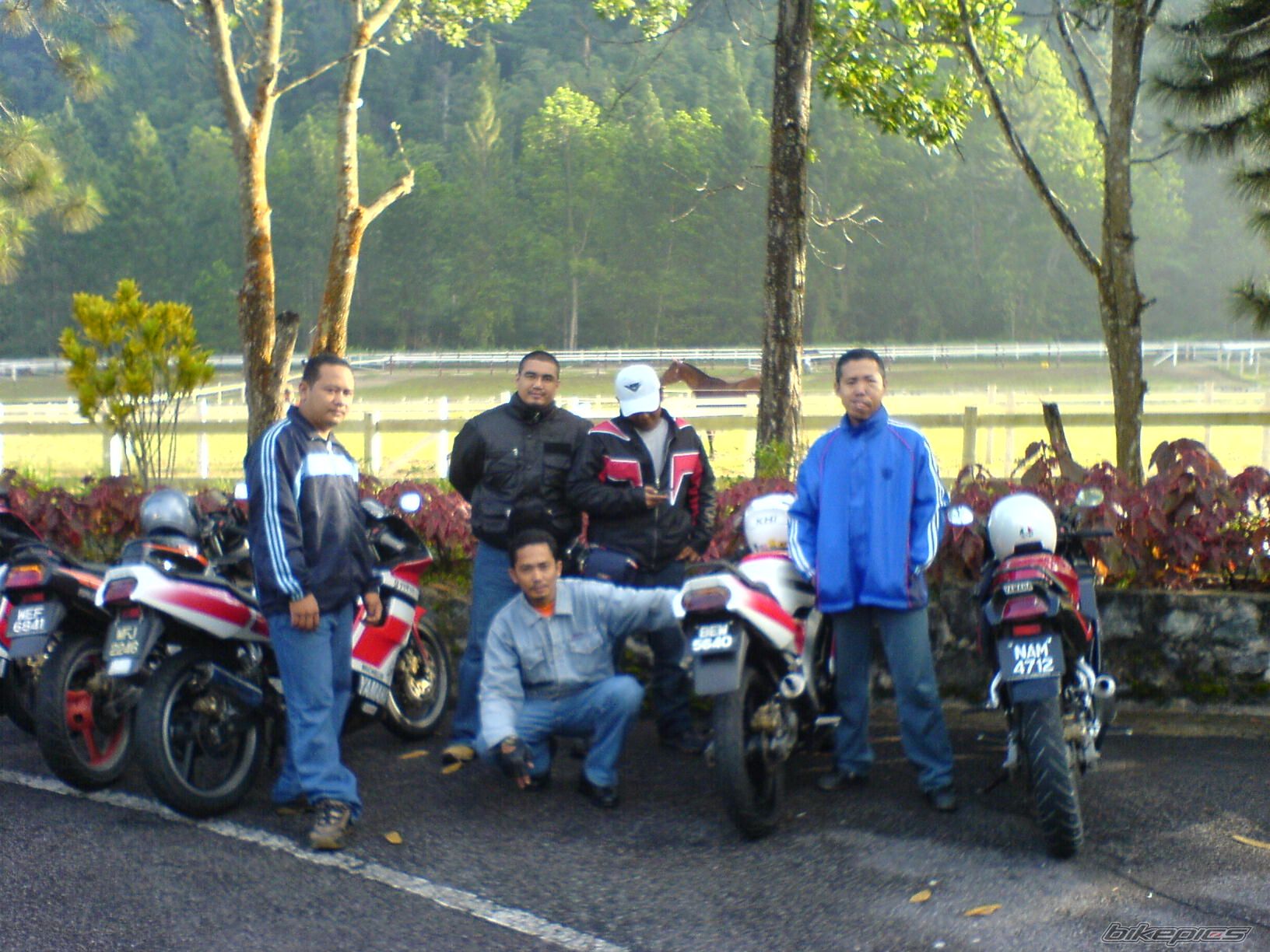 2009 YAMAHA TZM 150 | Picture 1477774 motorcycle photo