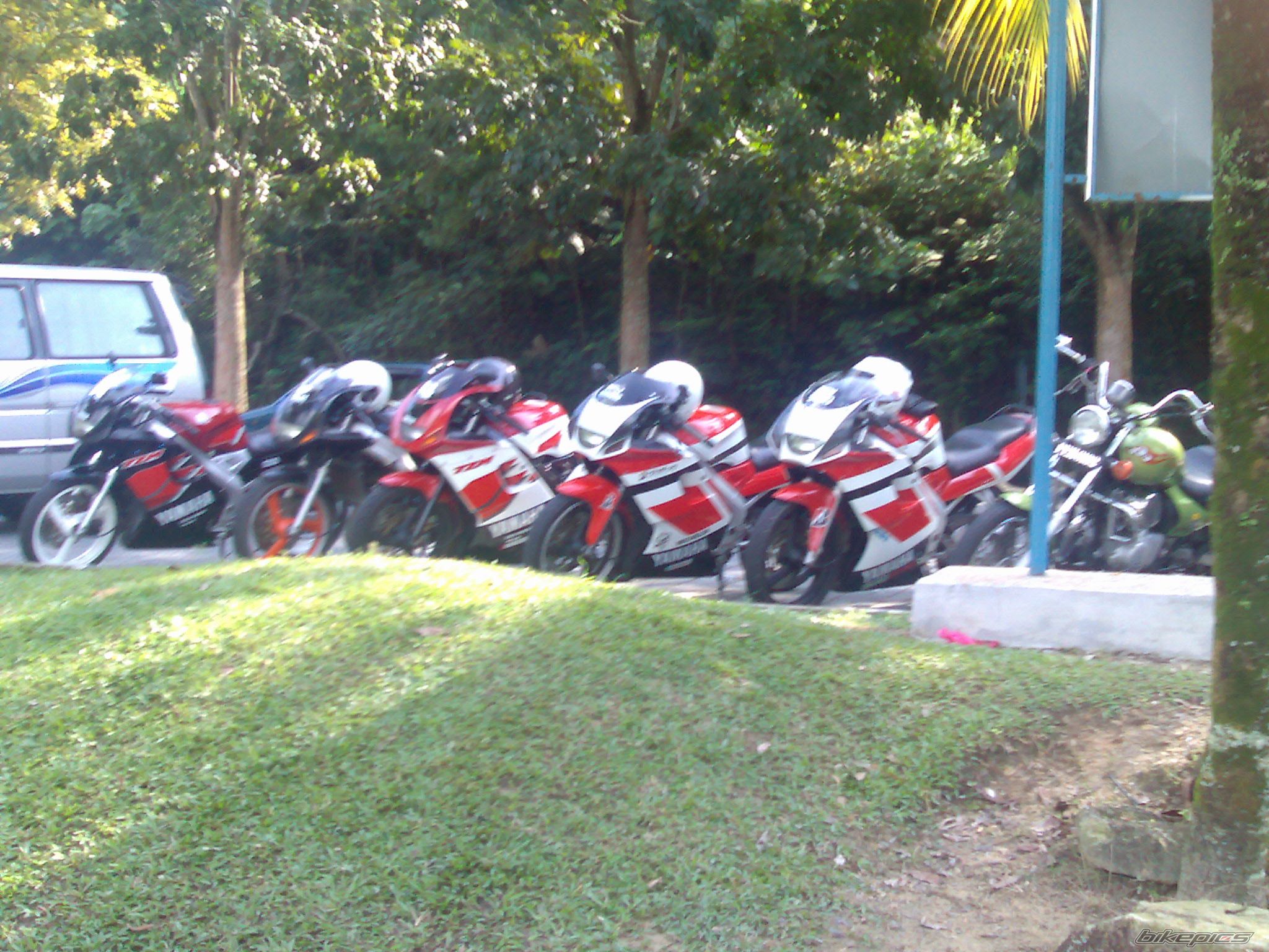 2009 YAMAHA TZM 150 | Picture 1477779 motorcycle photo