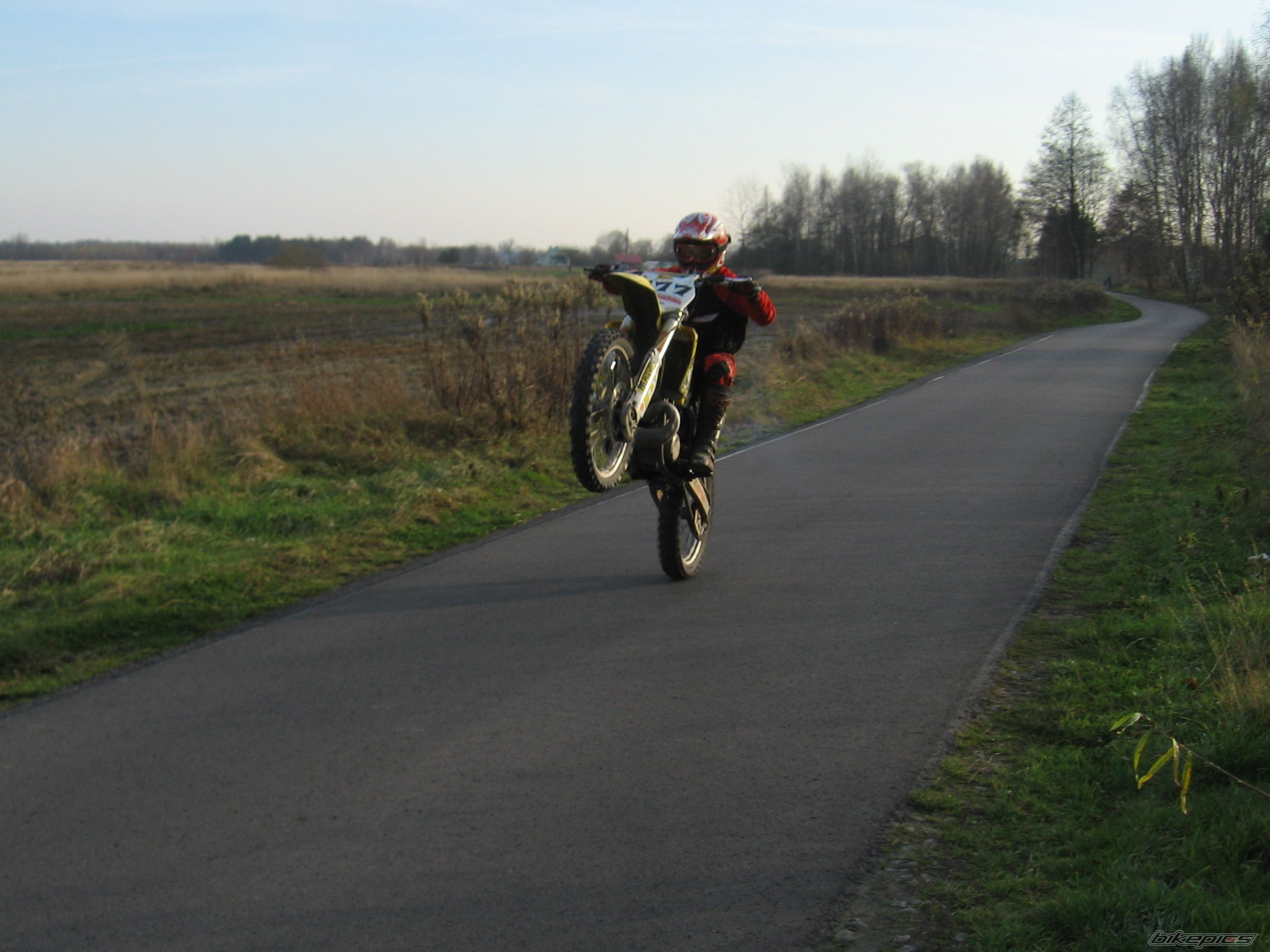 2003 SUZUKI RM 250 | Picture 1477834 motorcycle photo
