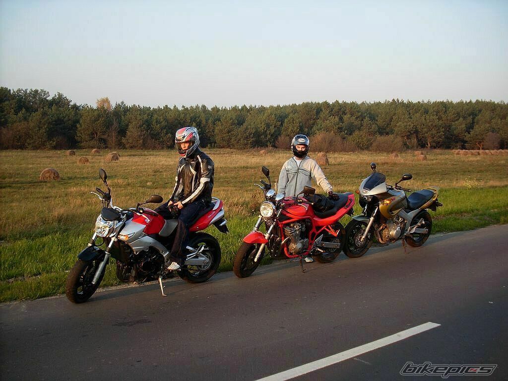 2006 SUZUKI GSR 600 | Picture 1477862 motorcycle photo