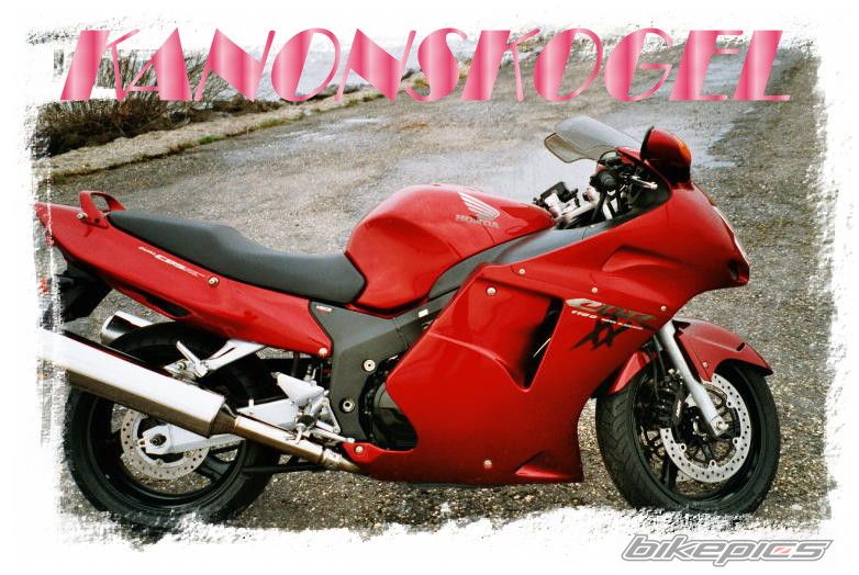 1998 HONDA CBR 1100 BLACKBIRD | Picture 1477994 motorcycle photo