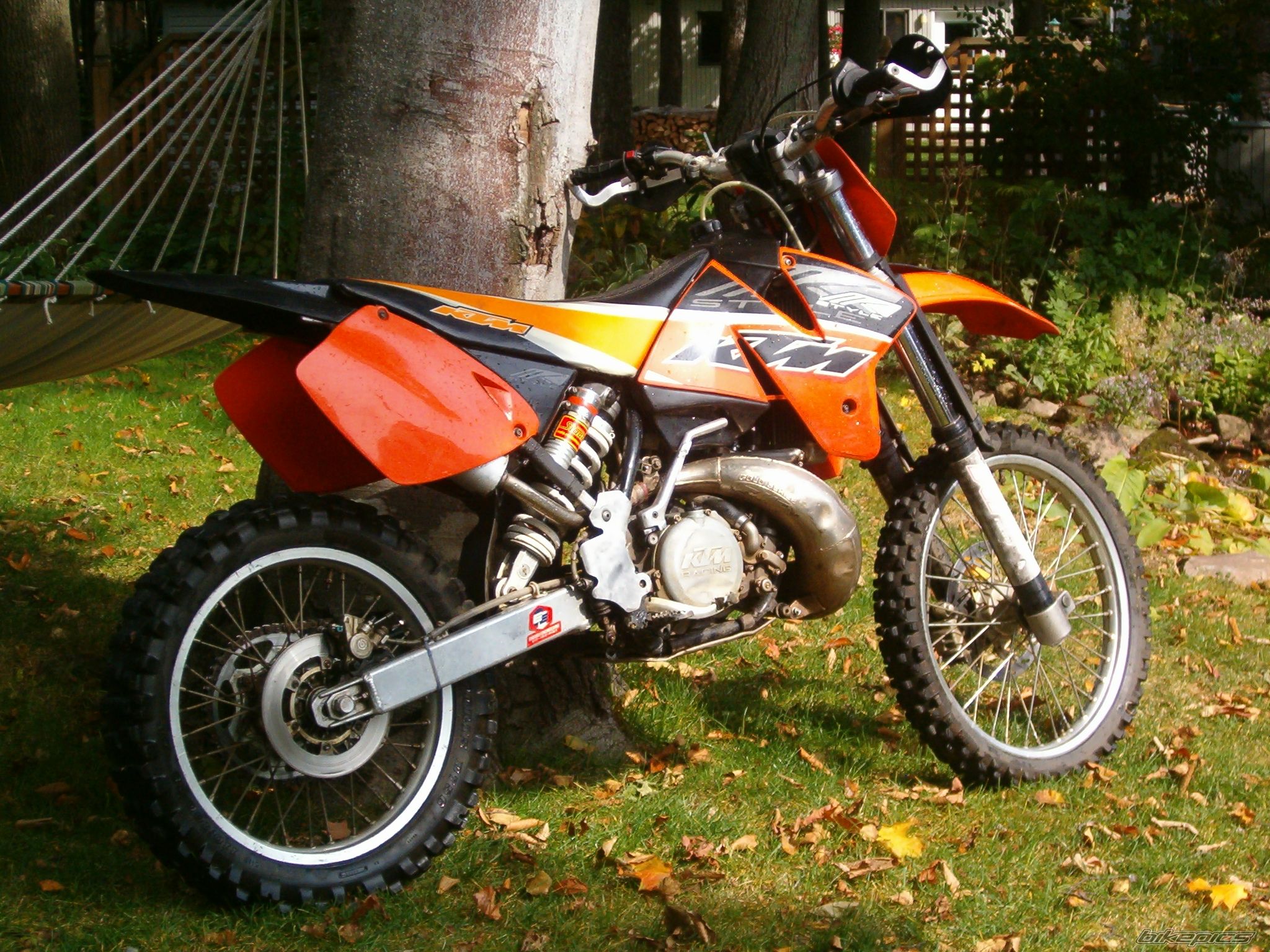 1998 KTM 300 MXC | Picture 1478121 motorcycle photo