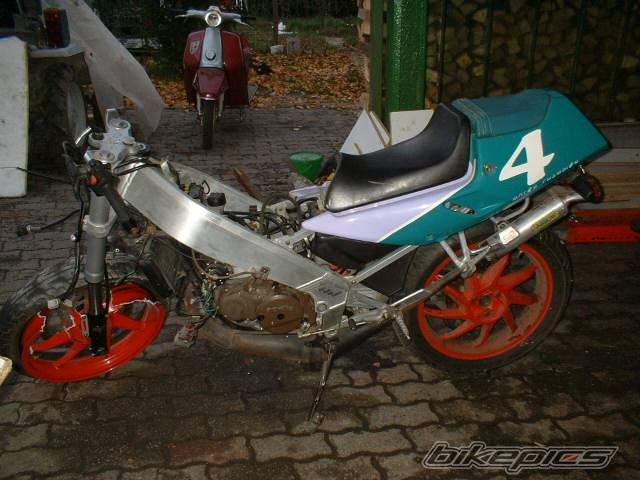 1991 APRILIA AF1 REPLICA 125 | Picture 147863 motorcycle photo