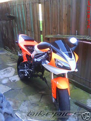 1998 YAMAHA YZF R1 | Picture 1478676 motorcycle photo