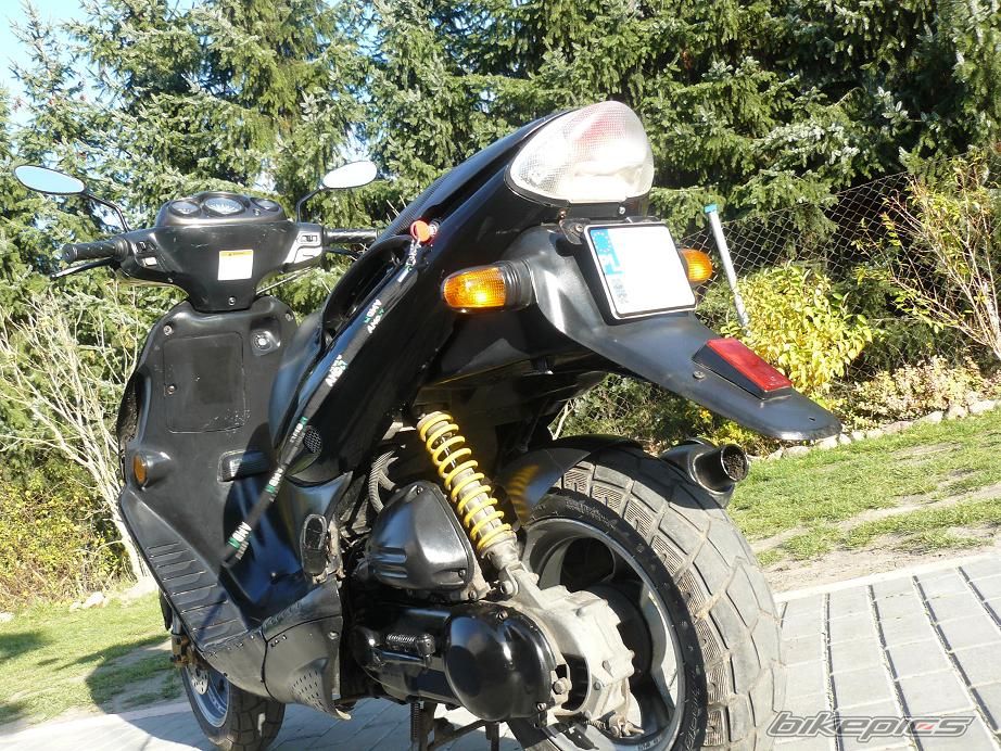 1998 SUZUKI AY 50 | Picture 1478720 motorcycle photo