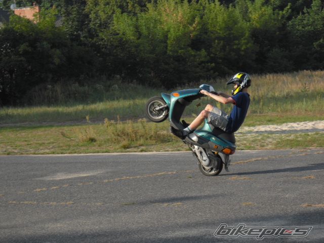 1996 PIAGGIO ZIP | Picture 1478990 motorcycle photo