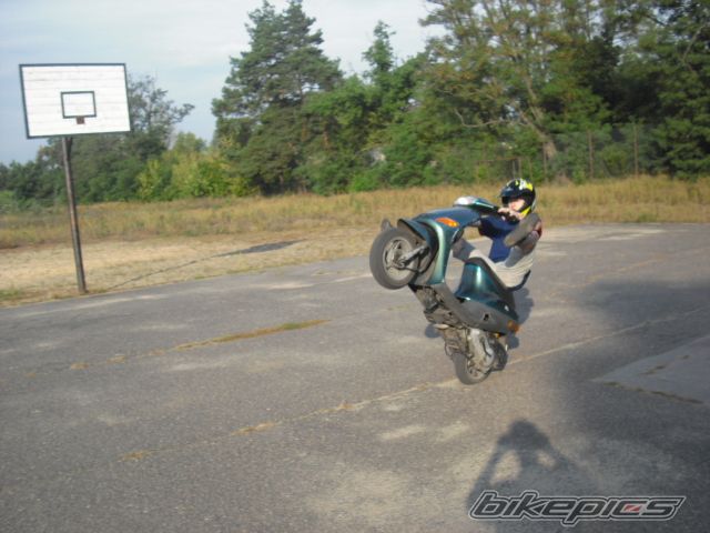 1996 PIAGGIO ZIP | Picture 1479000 motorcycle photo