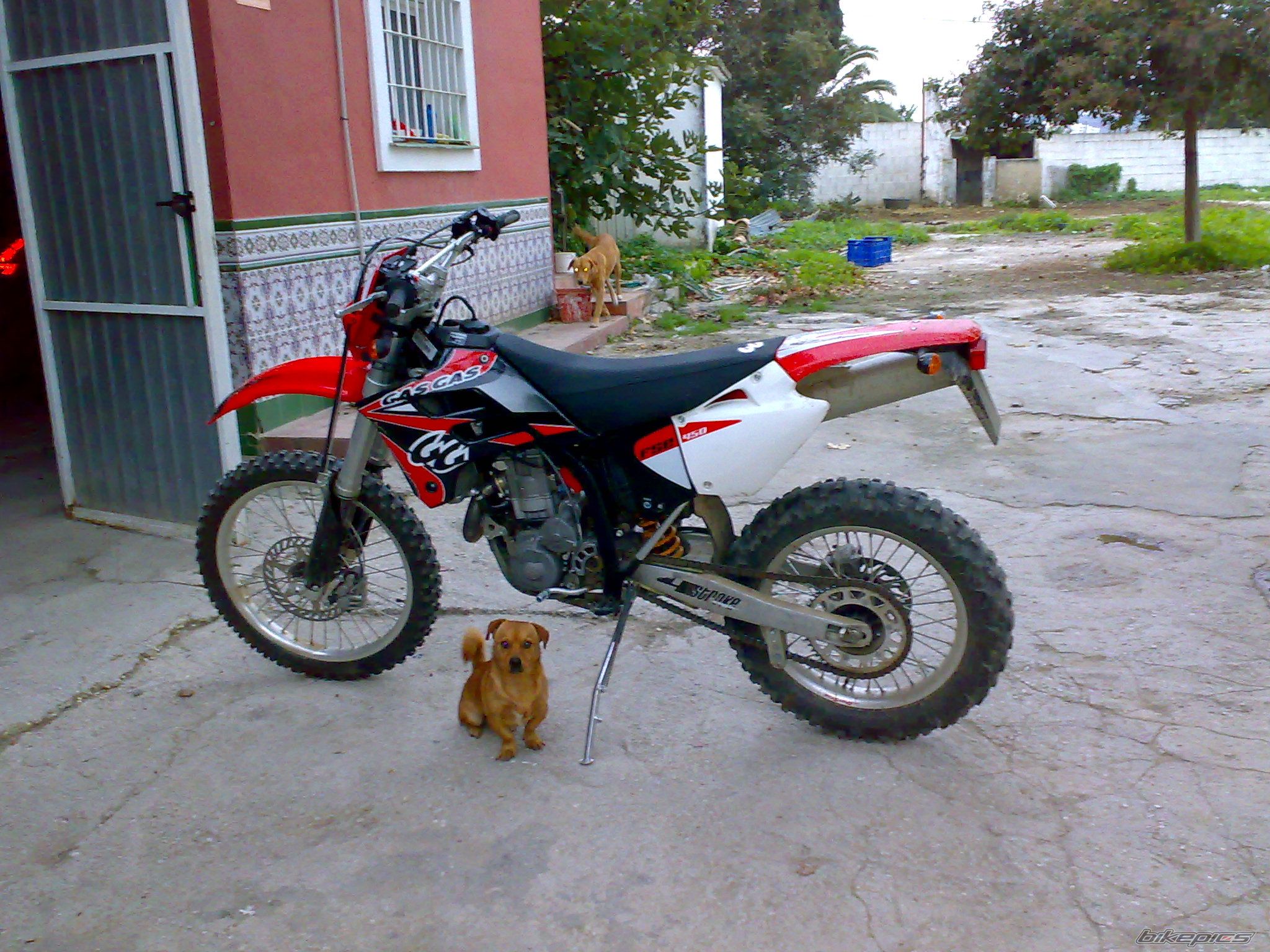 2005 GAS GAS EC 300 | Picture 1479345 motorcycle photo