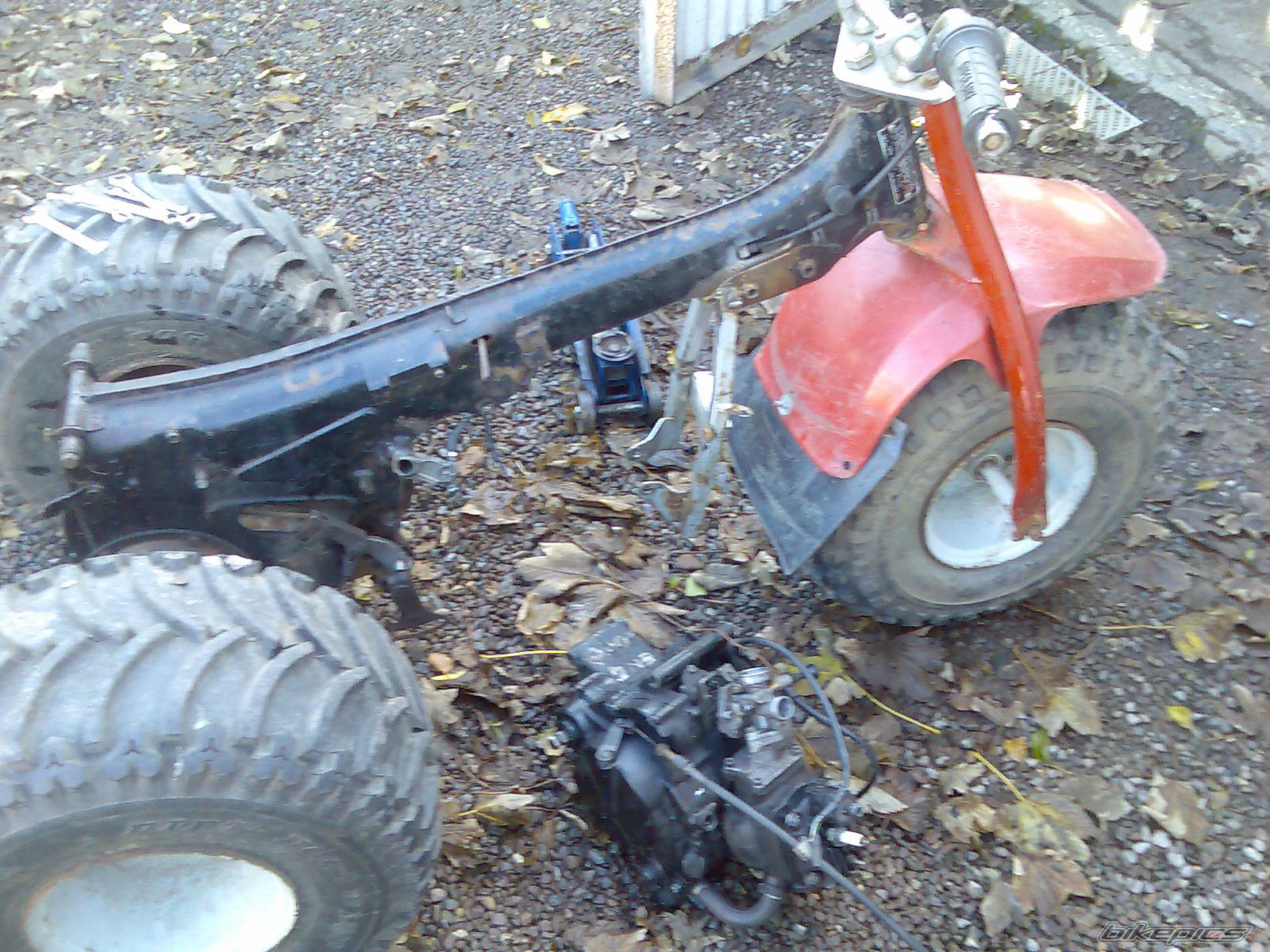1979 HONDA ATC 110 | Picture 1479358 motorcycle photo
