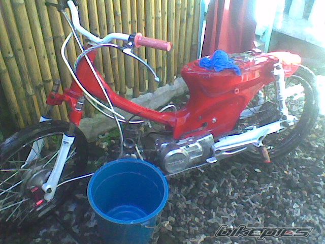 2008 HONDA C 100 DREAM | Picture 1479446 motorcycle photo