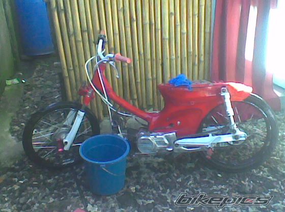 2008 HONDA SUPER CUB | Picture 1479448 motorcycle photo