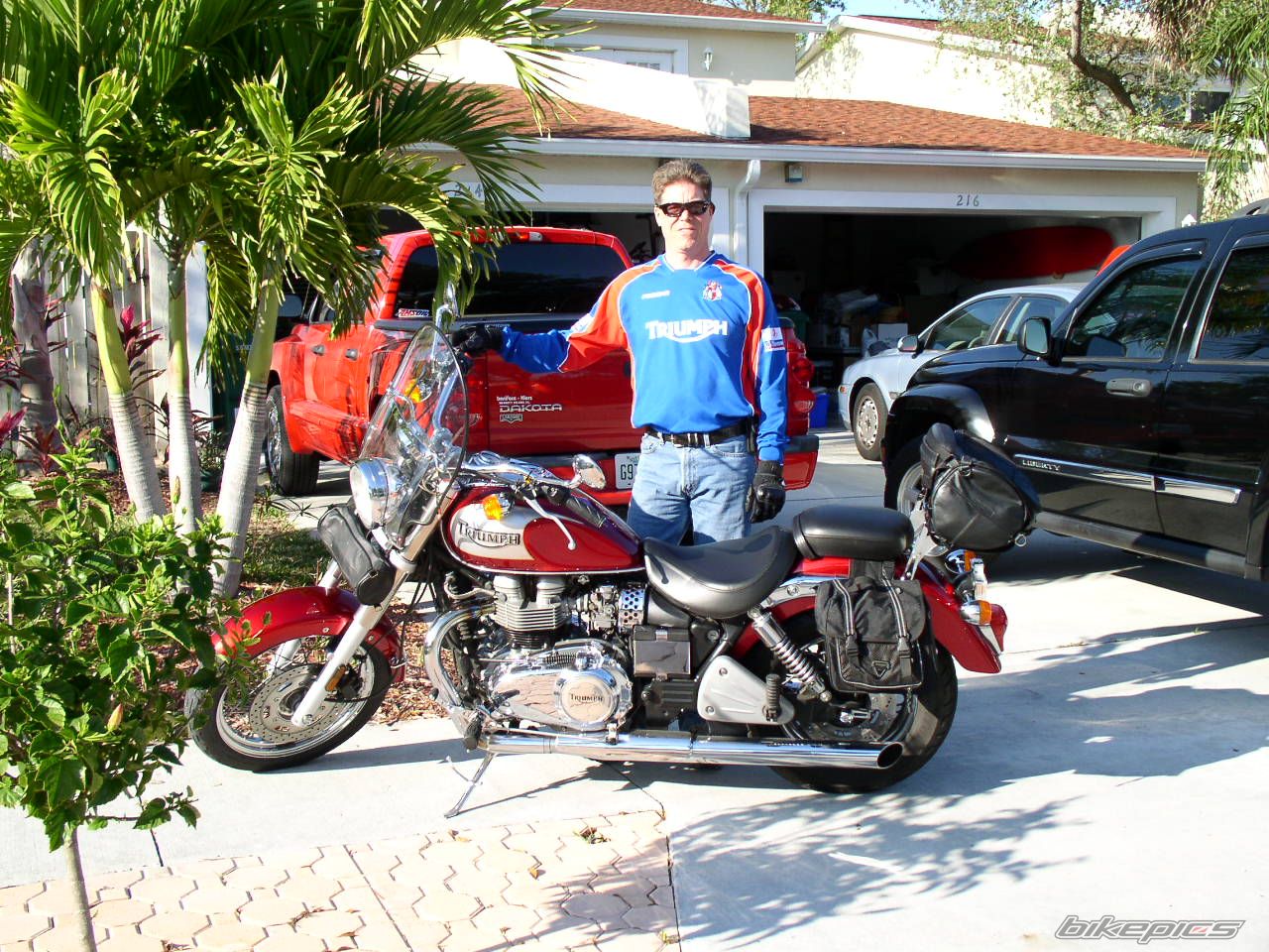 2002 TRIUMPH AMERICA | Picture 1480252 motorcycle photo