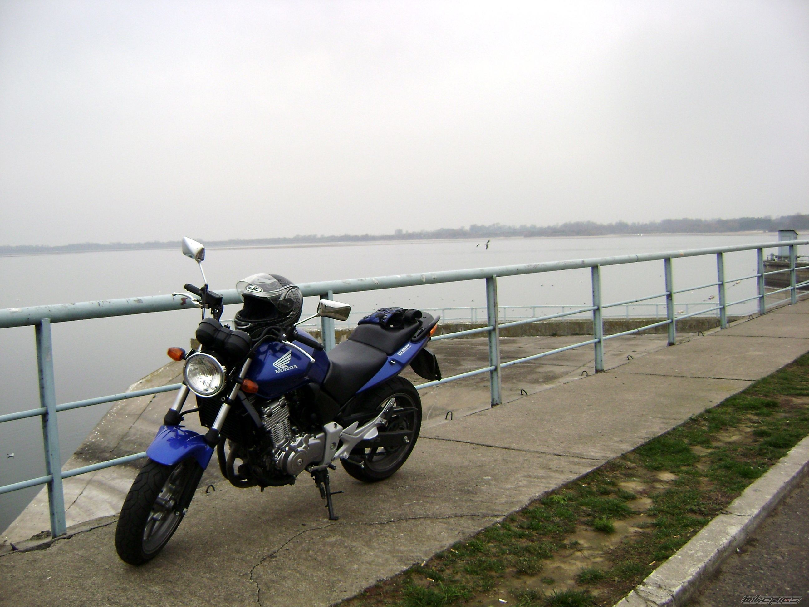 2004 HONDA CBF 500 | Picture 1480268 motorcycle photo