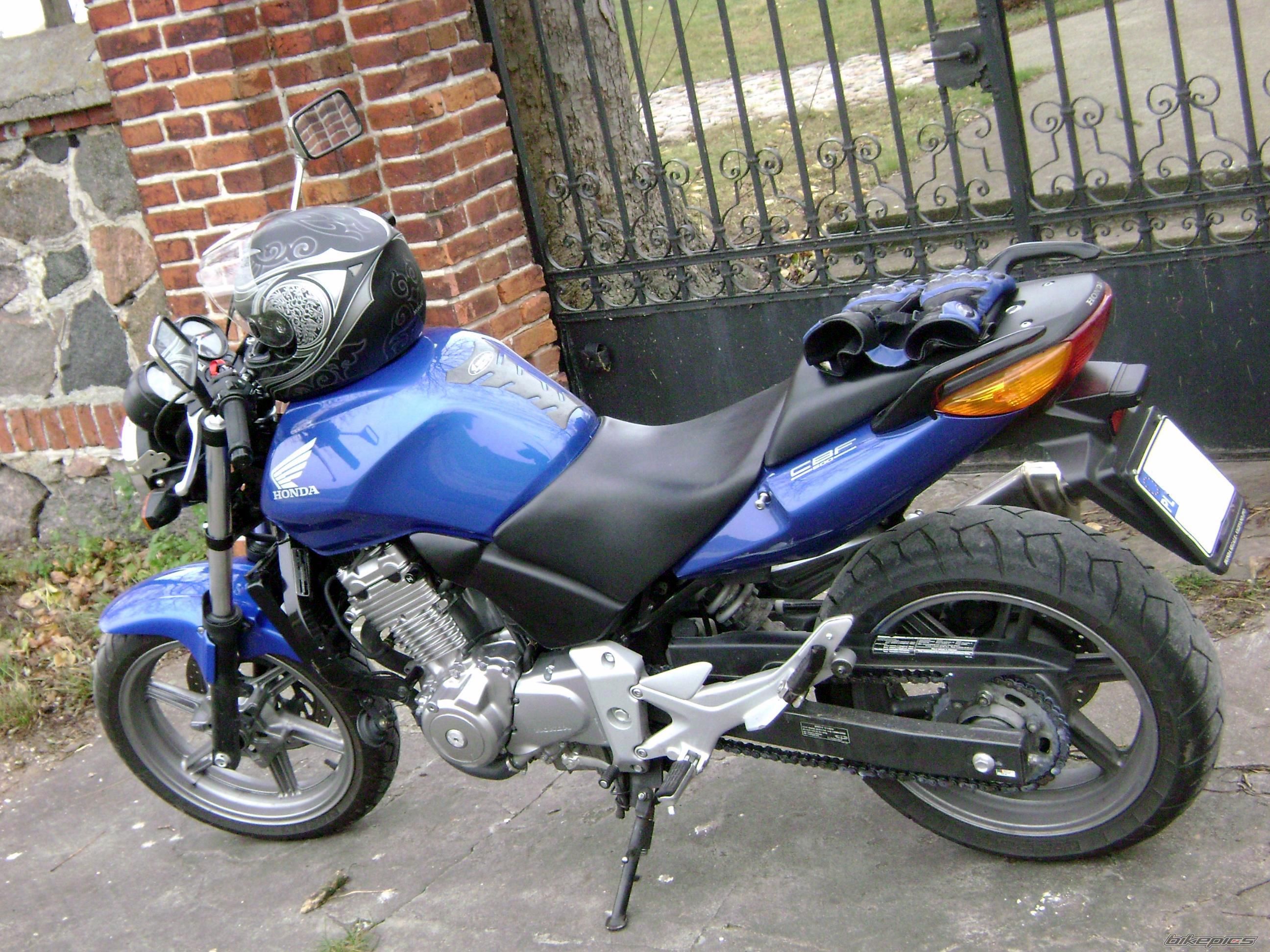 2004 HONDA CBF 500 | Picture 1480285 motorcycle photo