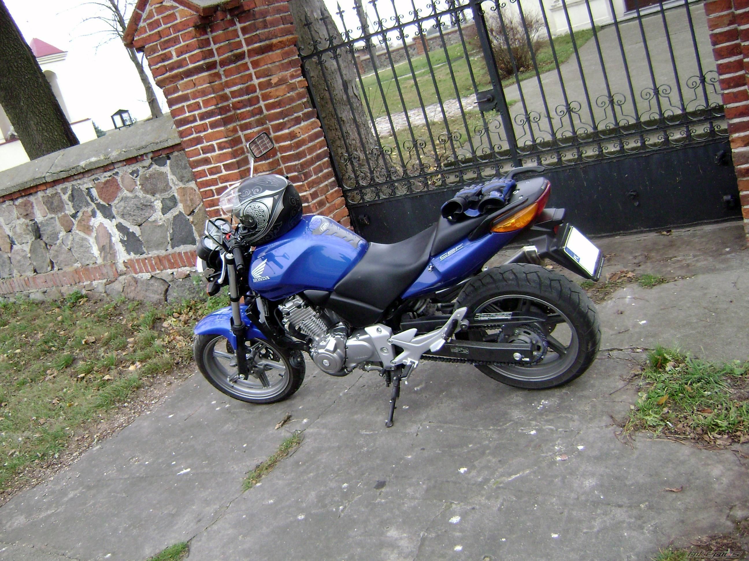 2004 HONDA CBF 500 | Picture 1480287 motorcycle photo
