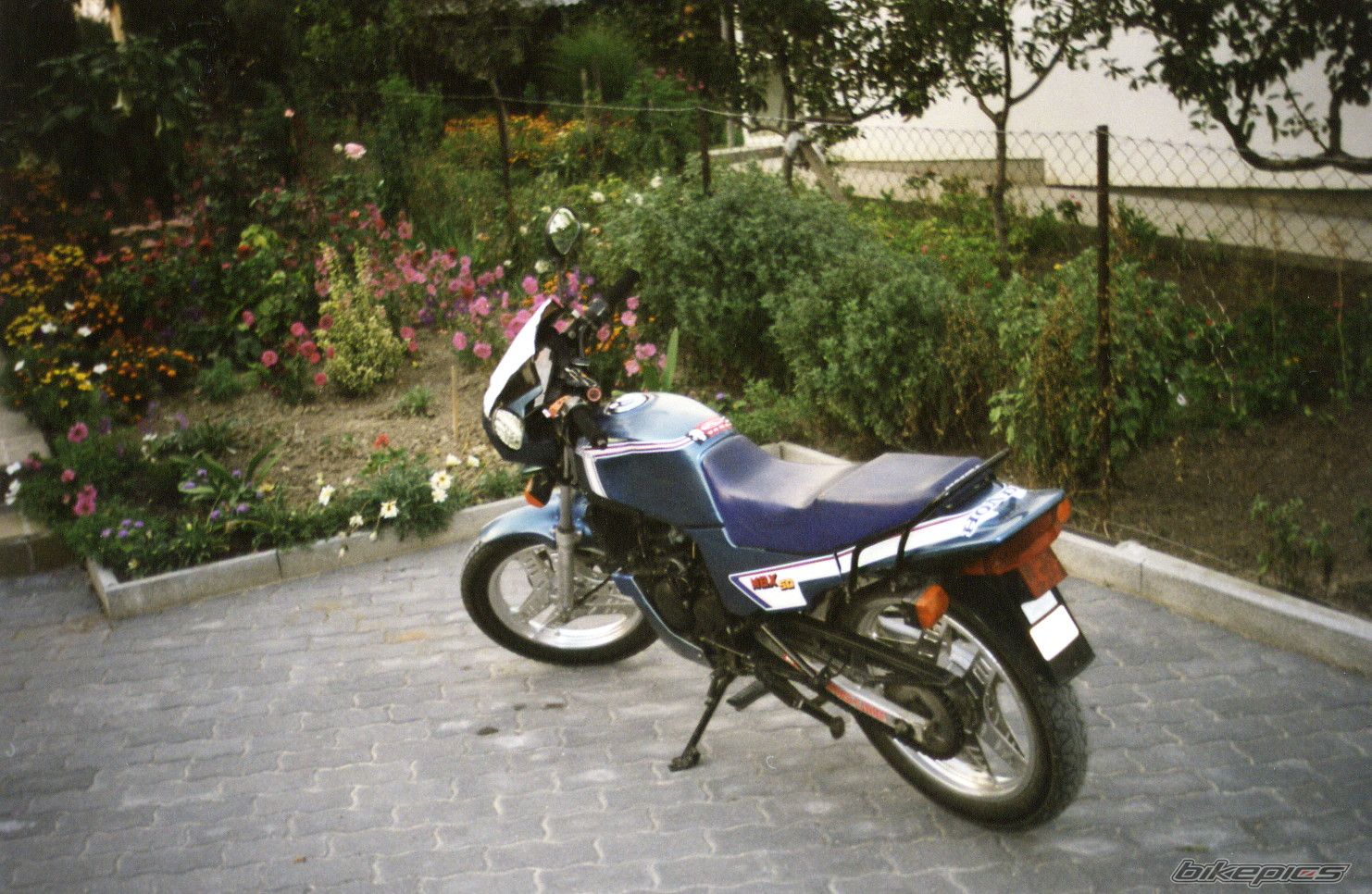 1986 HONDA MBX 125 F | Picture 1480291 motorcycle photo