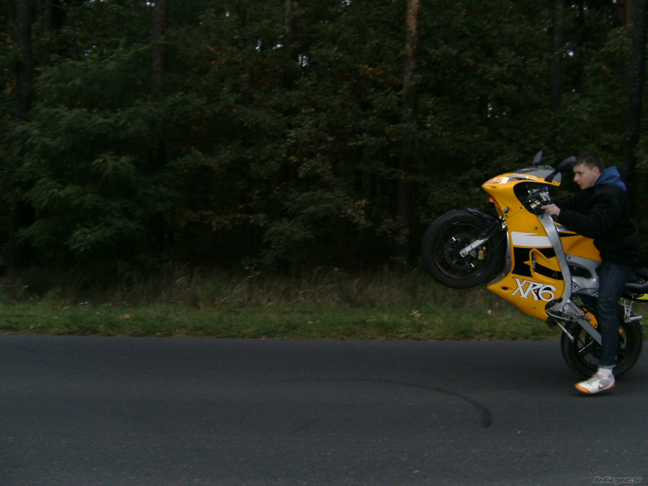 2002 PEUGEOT XR6 | Picture 1480965 motorcycle photo