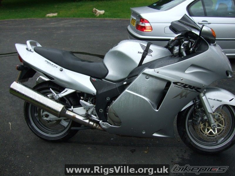 2001 HONDA CBR 1100 BLACKBIRD | Picture 1481039 motorcycle photo