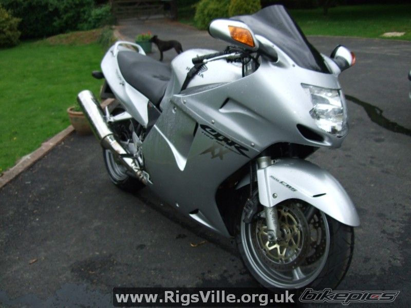 2001 HONDA CBR 1100 BLACKBIRD | Picture 1481049 motorcycle photo