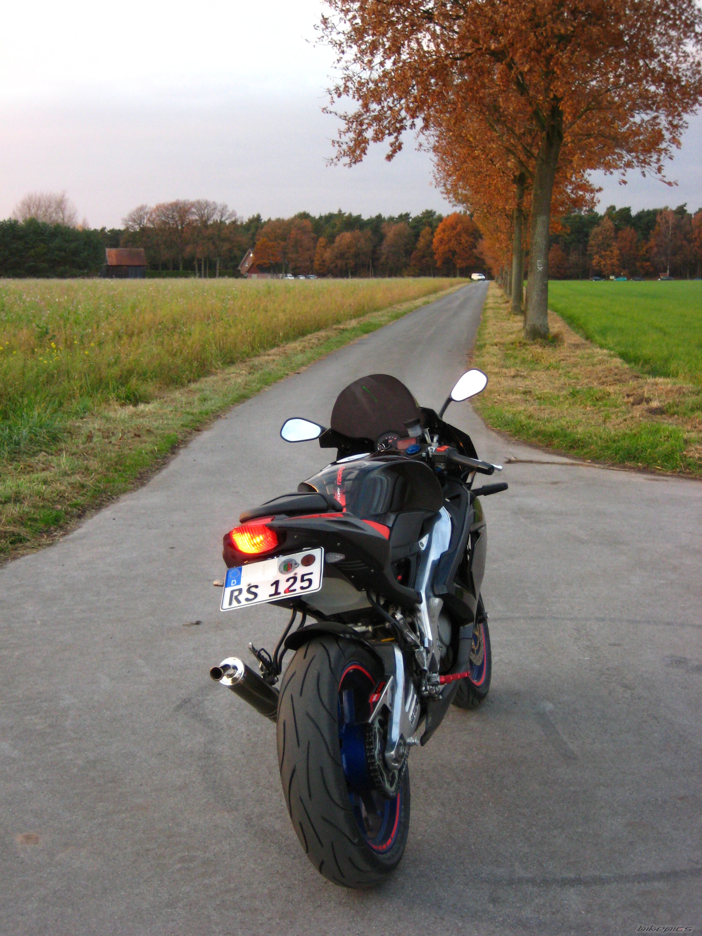 2009 APRILIA RS 125 | Picture 1481065 motorcycle photo