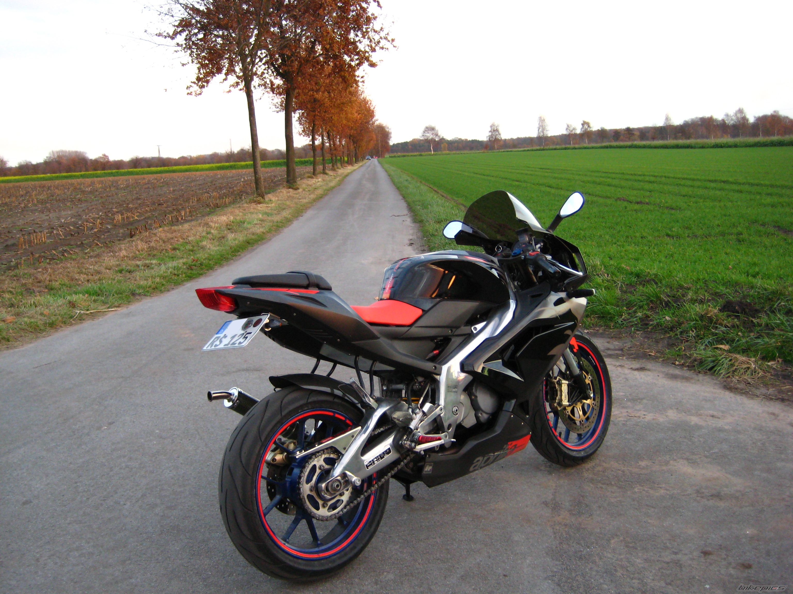 2009 APRILIA RS 125 | Picture 1481073 motorcycle photo