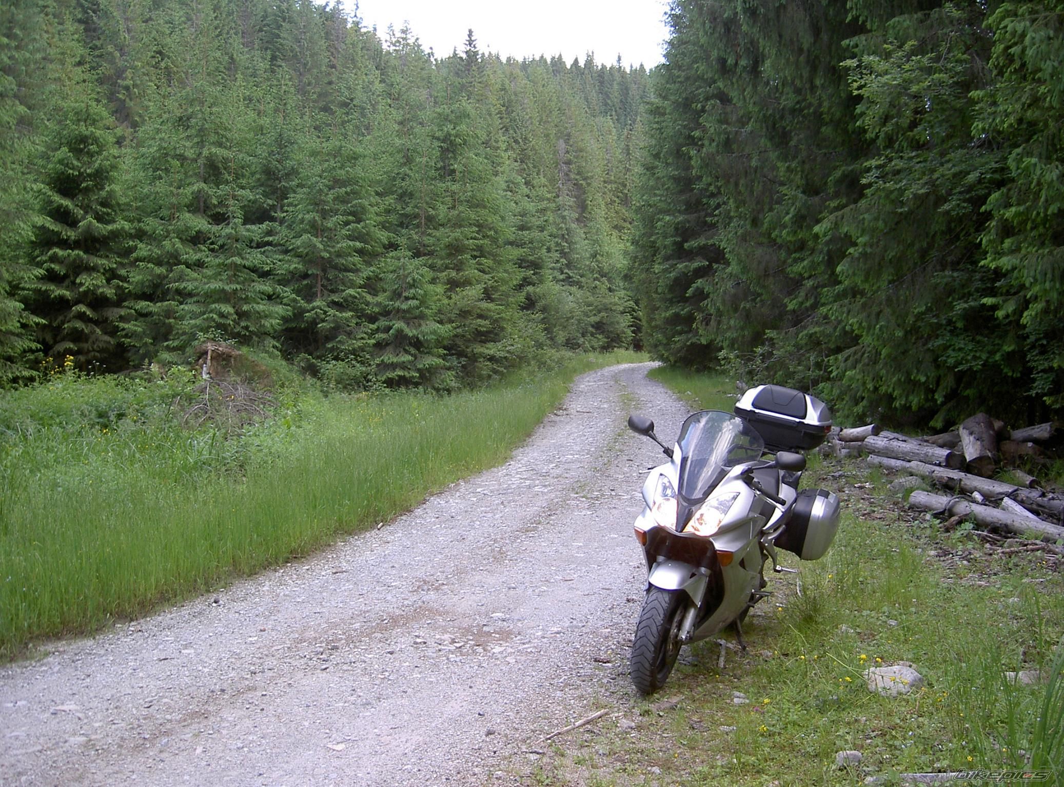 2002 HONDA VFR 800 | Picture 1481139 motorcycle photo