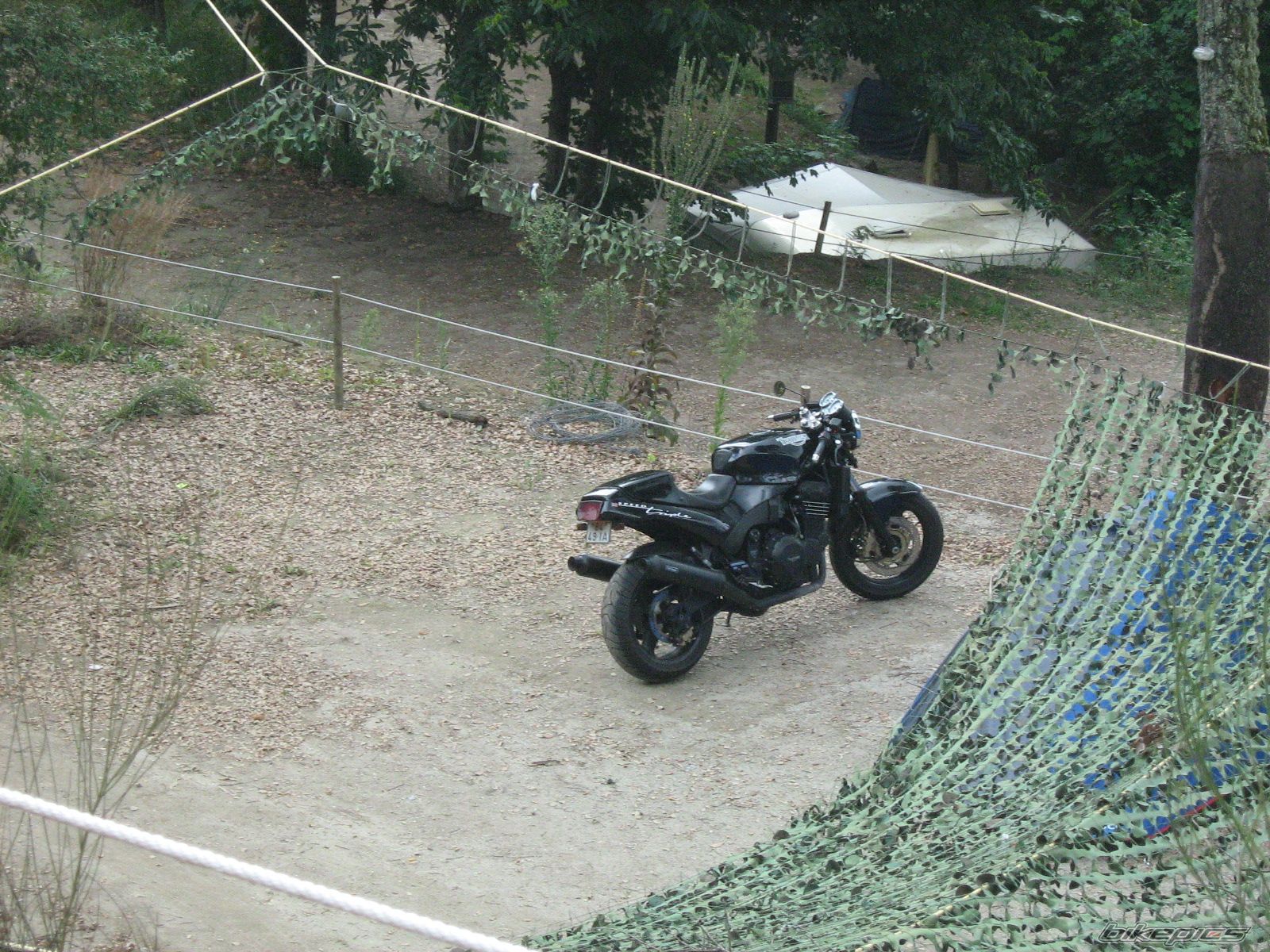 1997 TRIUMPH SPEED TRIPLE | Picture 1481369 motorcycle photo