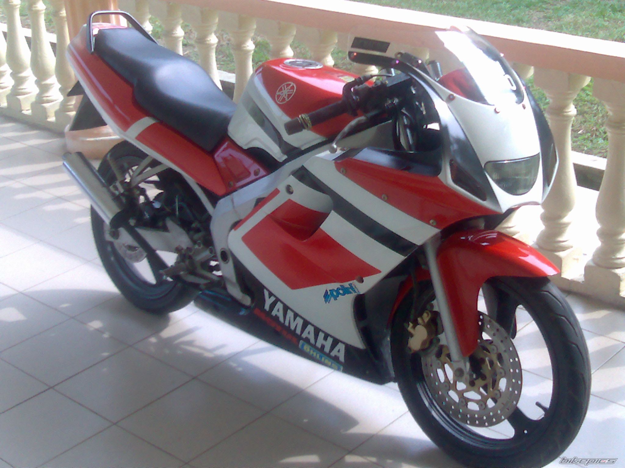 2009 YAMAHA TZM 150 | Picture 1481952 motorcycle photo