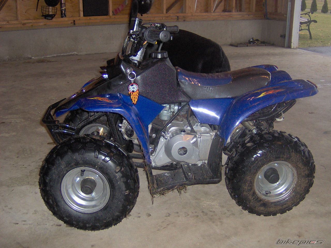 2005 DINLY HELIX 50 | Picture 1482603 motorcycle photo