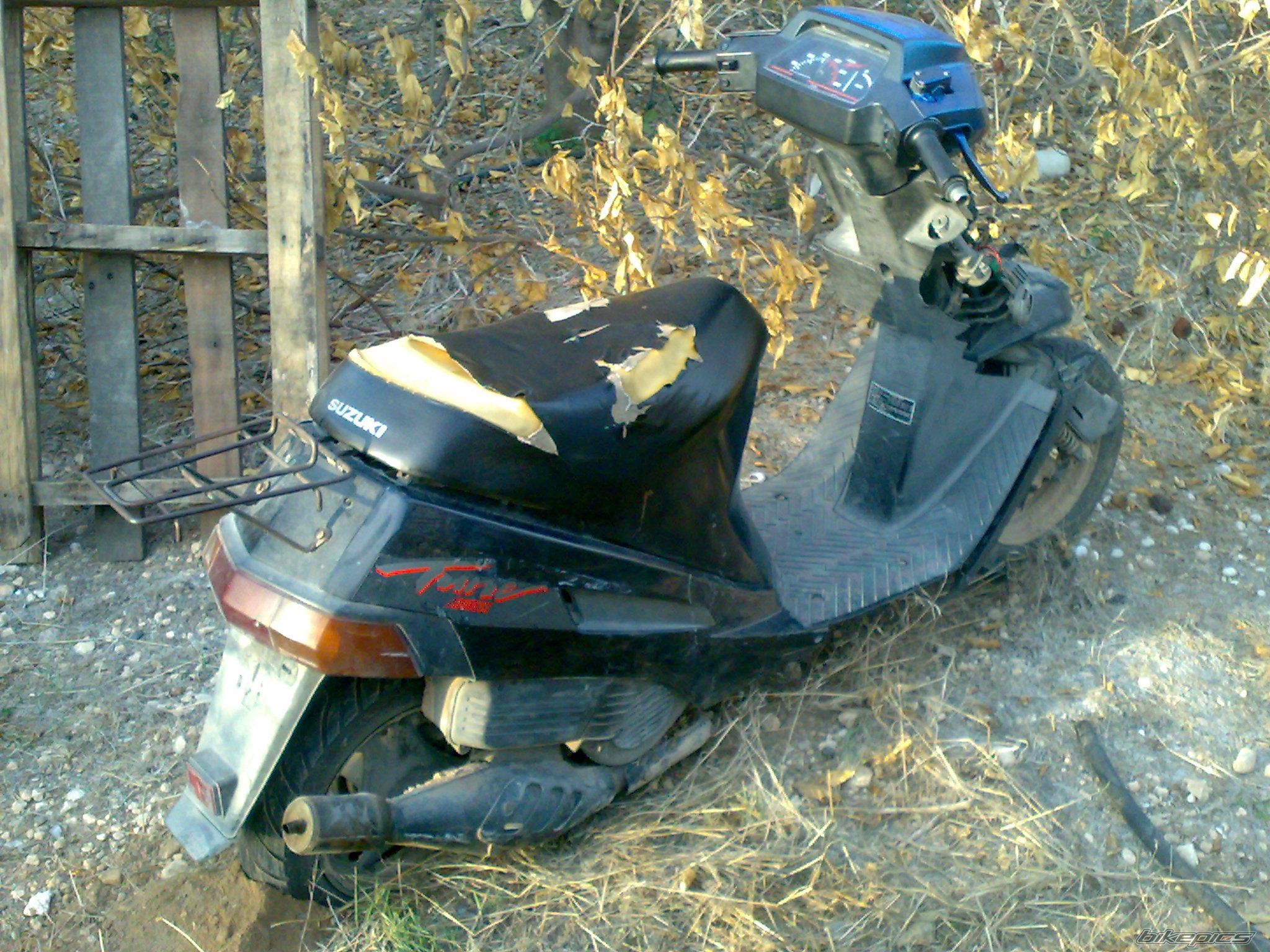 1996 SUZUKI ADDRESS 50 | Picture 1482738 motorcycle photo