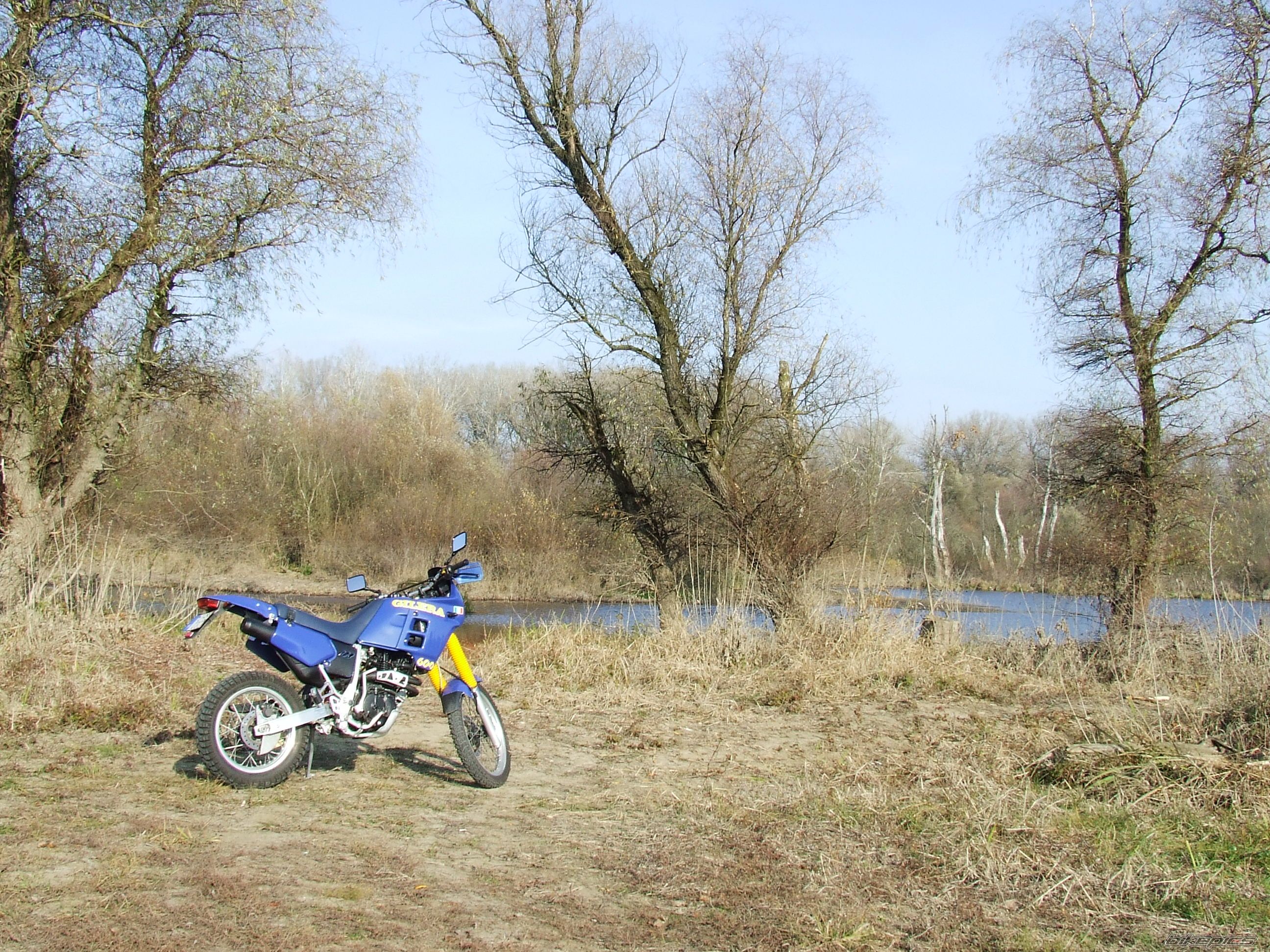 1991 GILERA RC 600R | Picture 1482820 motorcycle photo
