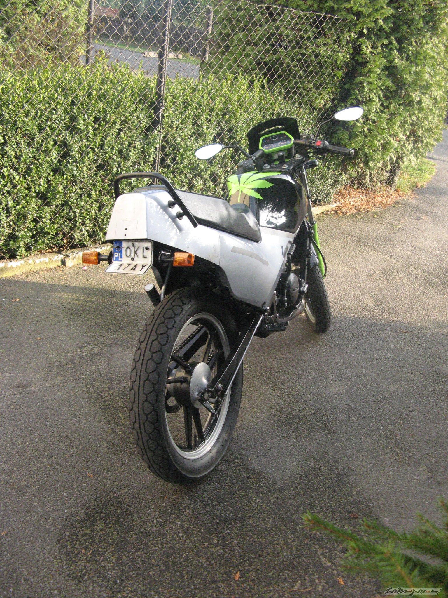 1993 SUZUKI RG 80 | Picture 1482908 motorcycle photo