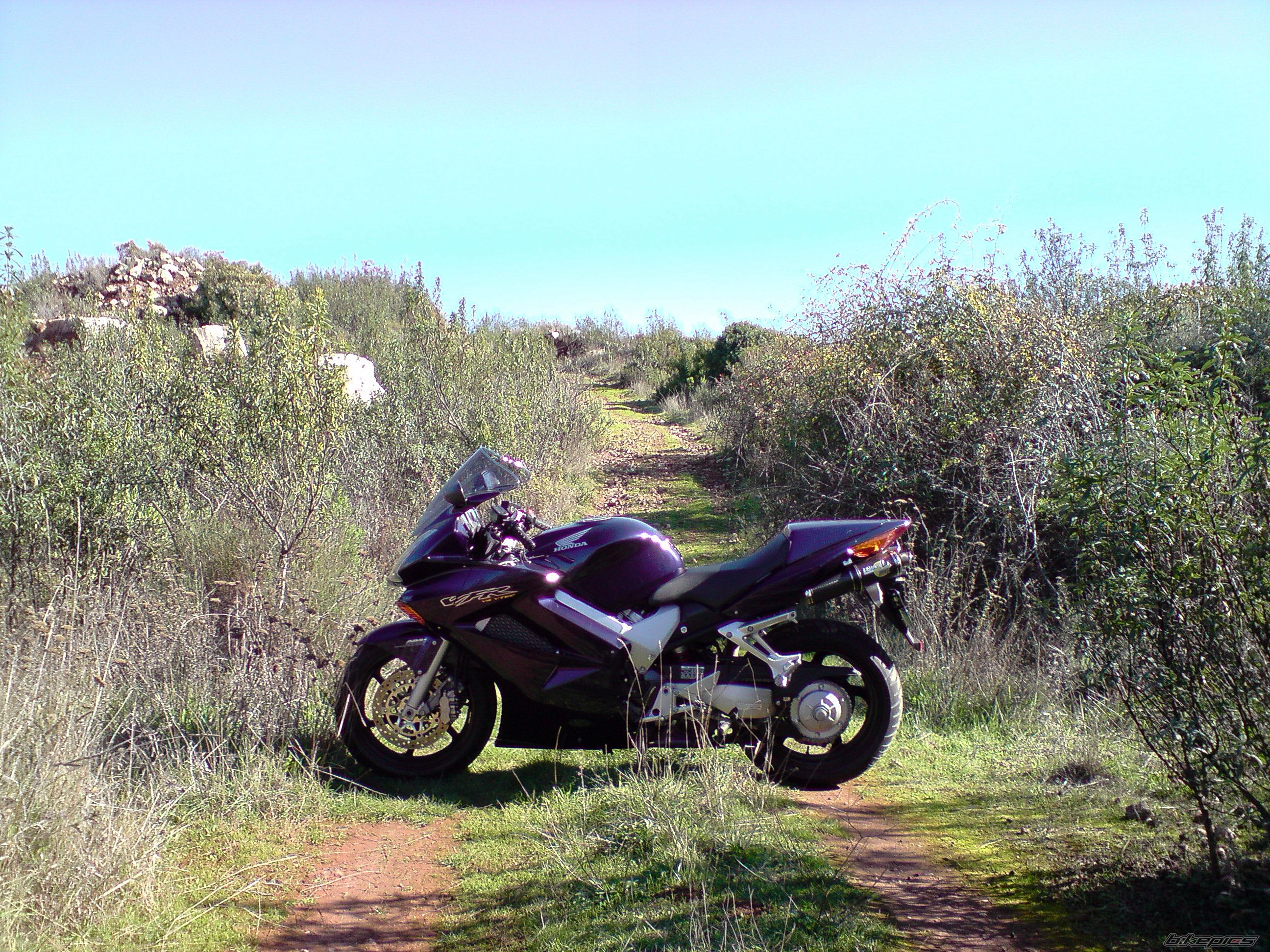 2004 HONDA VFR 800 | Picture 1482914 motorcycle photo