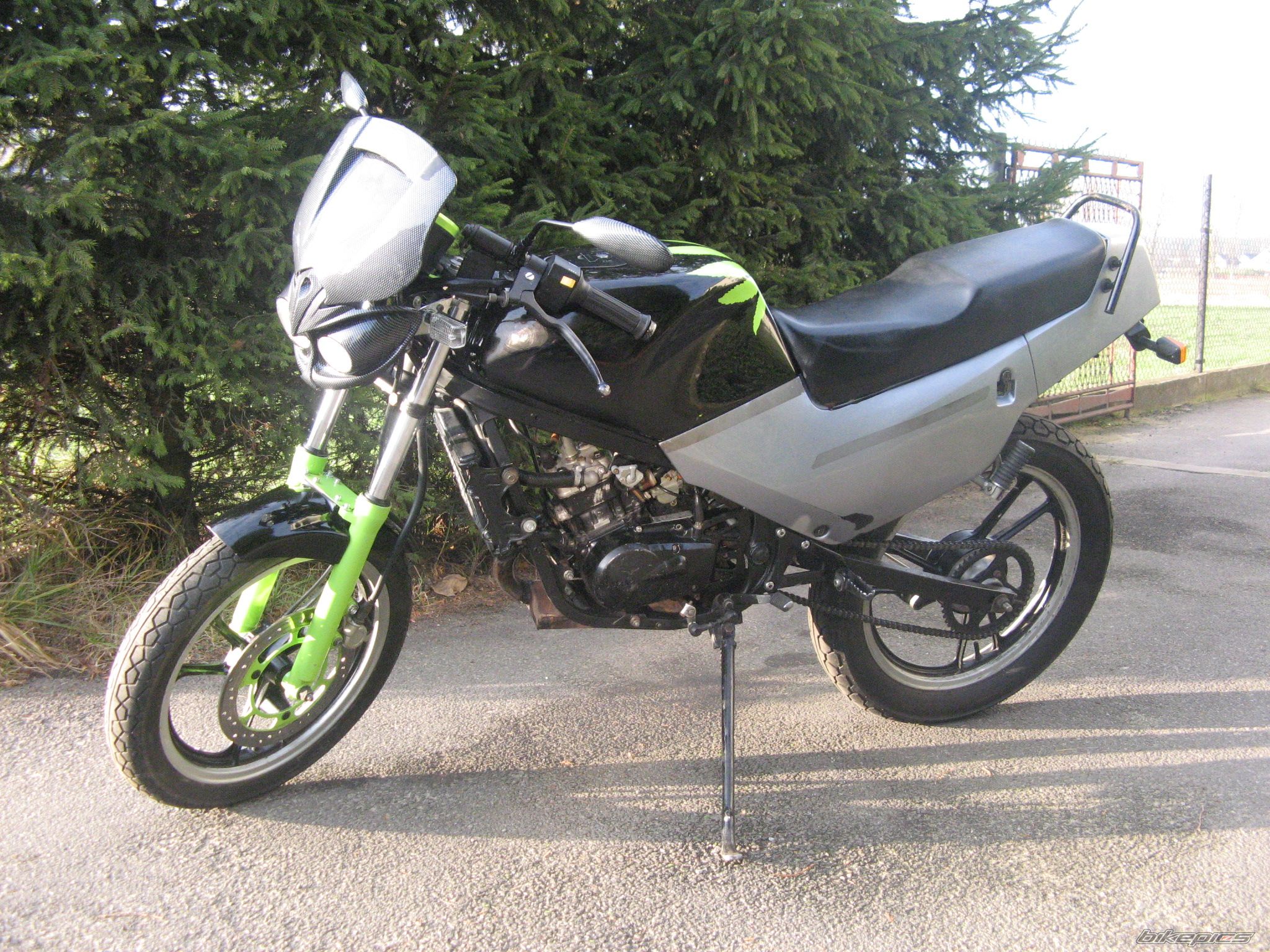 1993 SUZUKI RG 80 | Picture 1482921 motorcycle photo