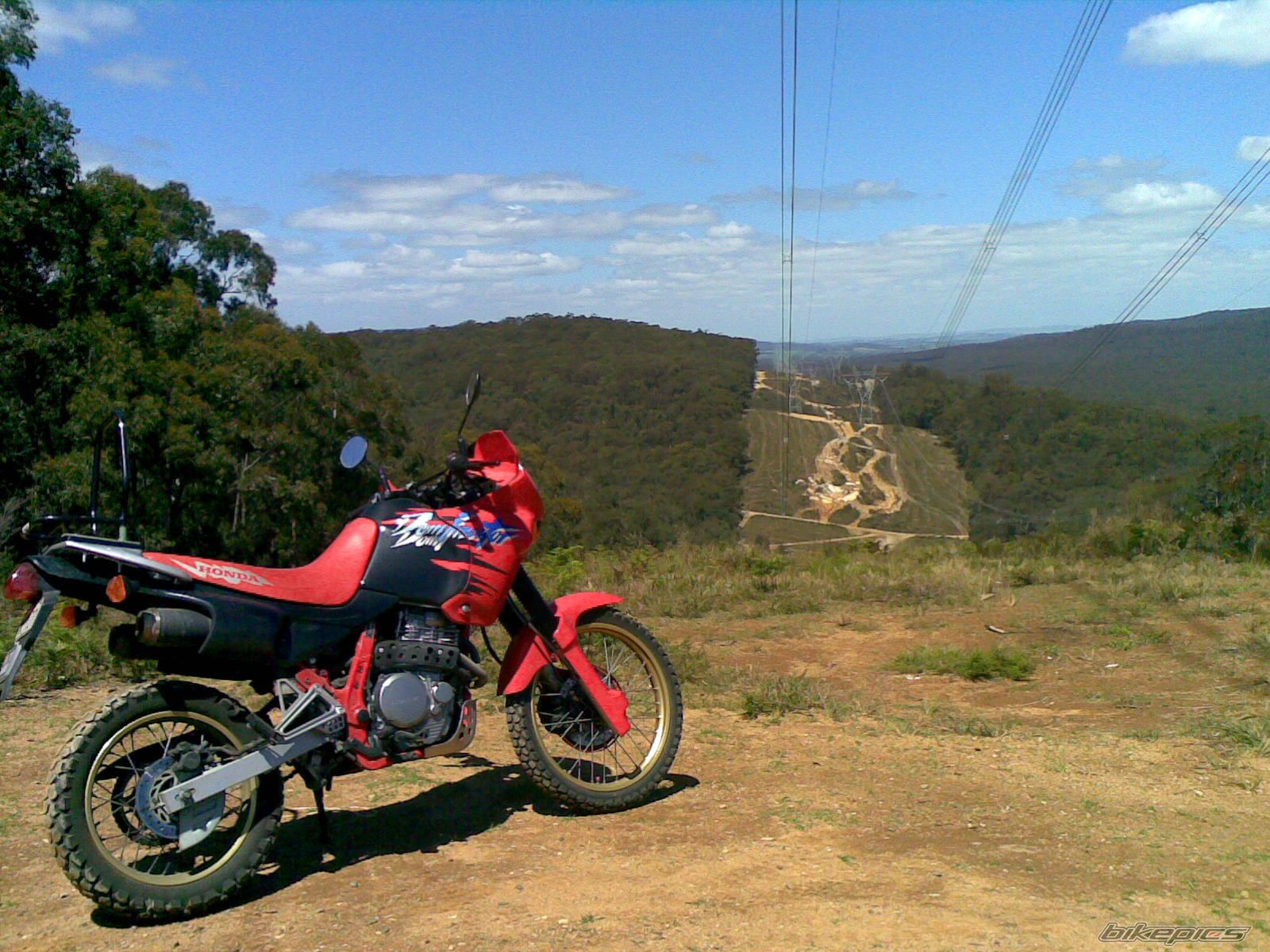 1994 HONDA NX 650 DOMINATOR | Picture 1483115 motorcycle photo