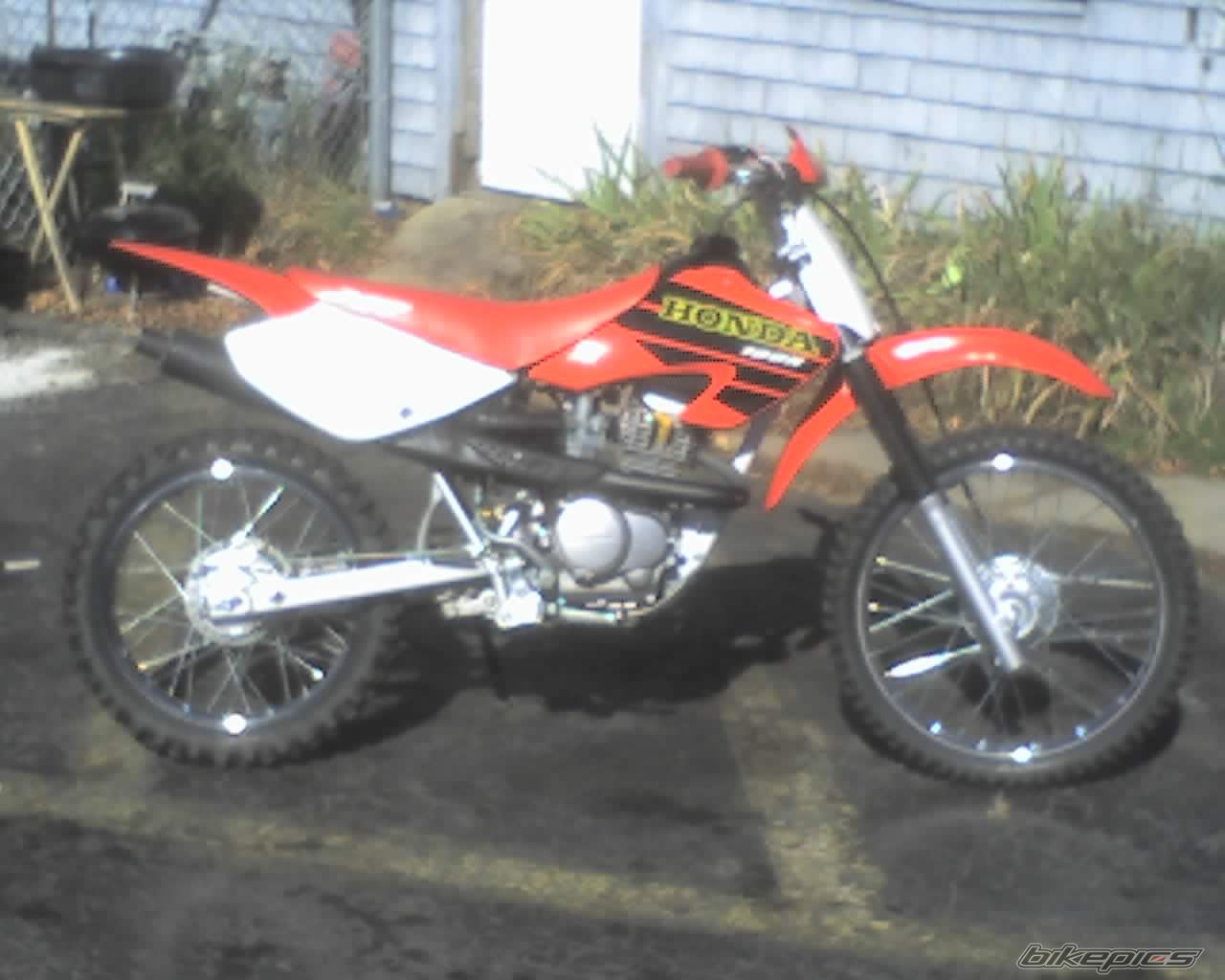 2001 HONDA XR 100 IN AN 80 FRAME | Picture 1483324 motorcycle photo