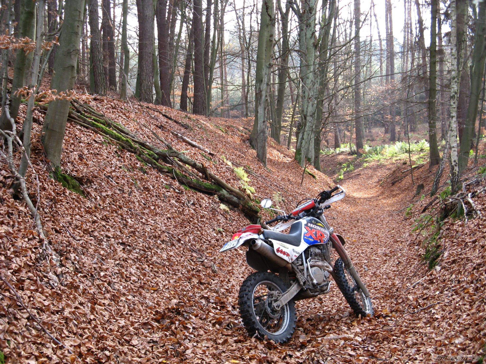 1994 HONDA XR 600 | Picture 1483497 motorcycle photo