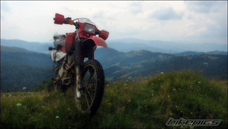 2006 HONDA XR 650 | Picture 1483518 motorcycle photo