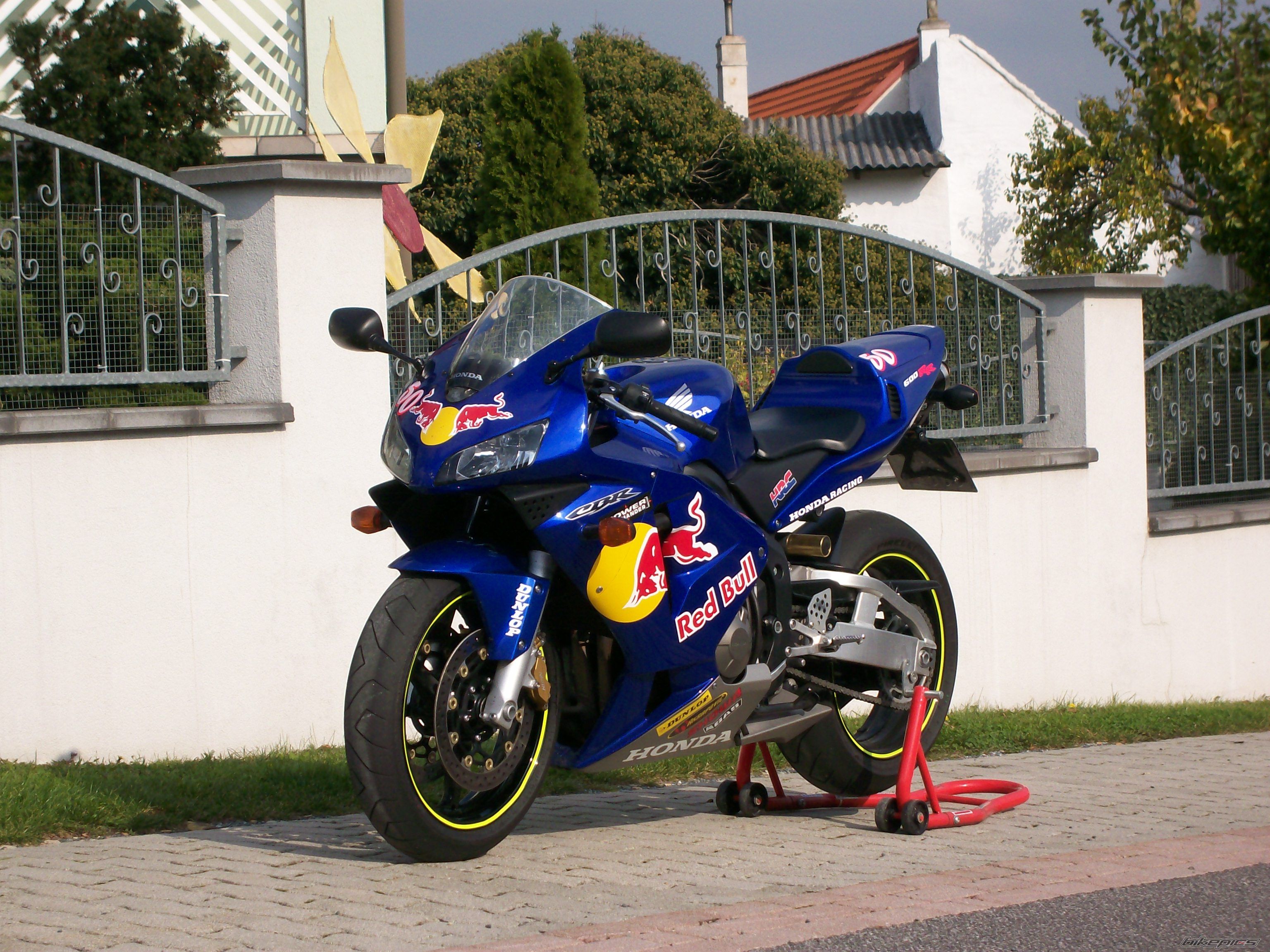 2009 YAMAHA FZ 1N | Picture 1483521 motorcycle photo