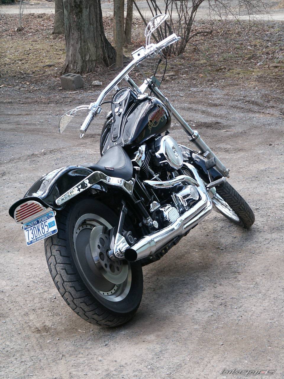 1991 HARLEY DAVIDSON FXSTC | Picture 148354 motorcycle photo