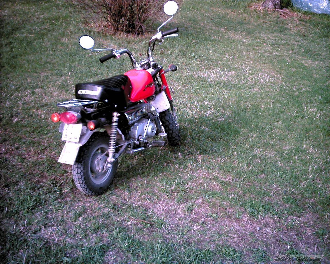 2003 JINCHENG JC 50 | Picture 148365 motorcycle photo