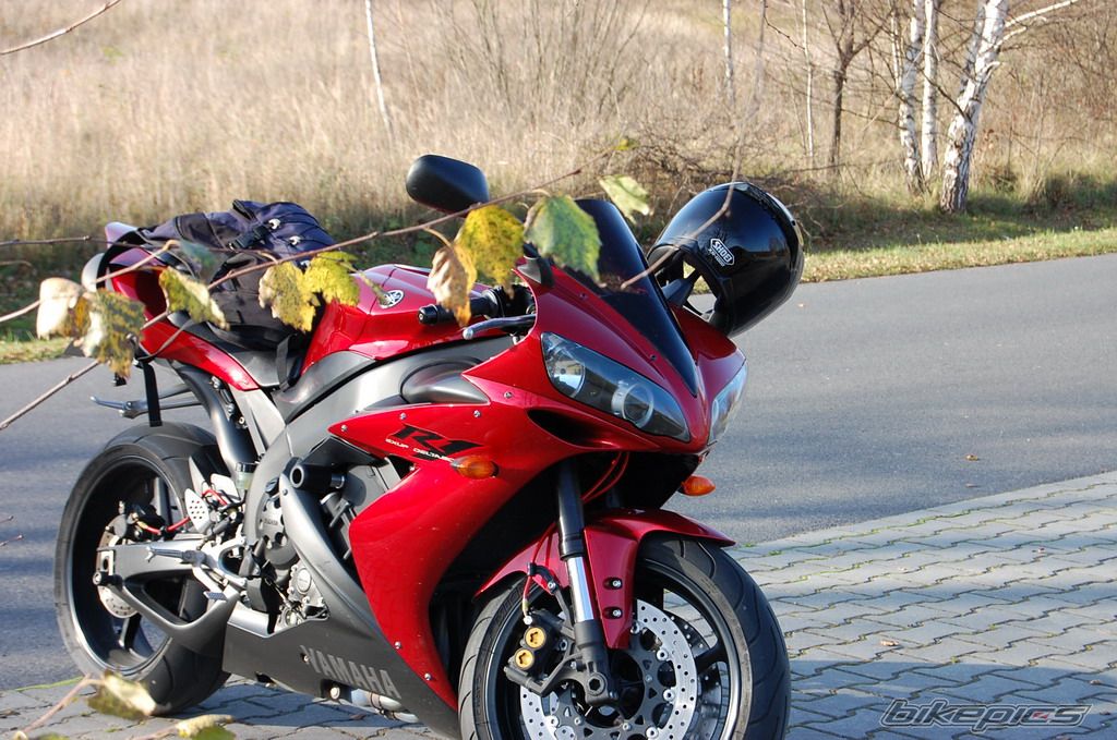 2005 YAMAHA YZF R1 | Picture 1483846 motorcycle photo