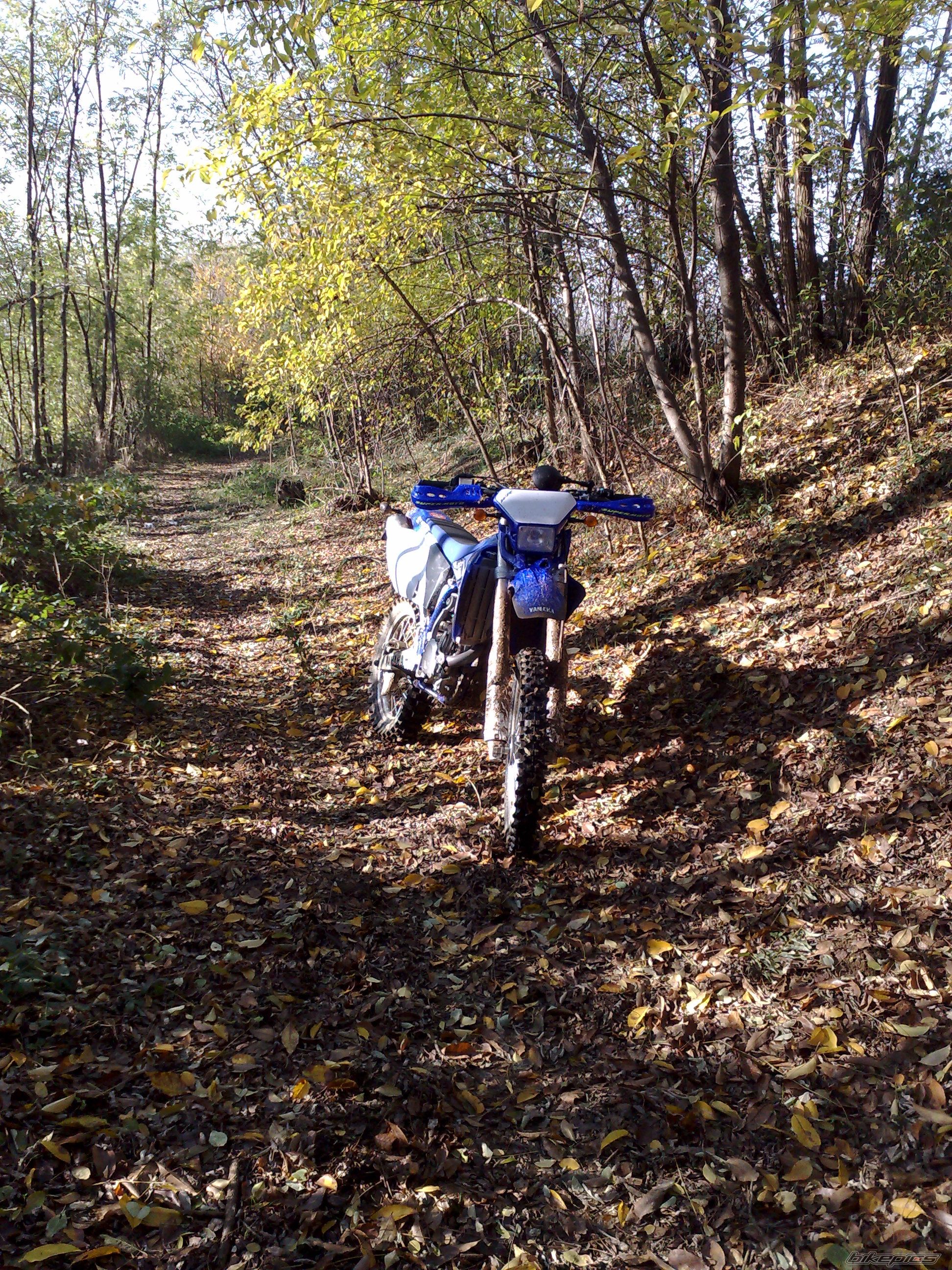 2006 YAMAHA WR 450F | Picture 1483900 motorcycle photo