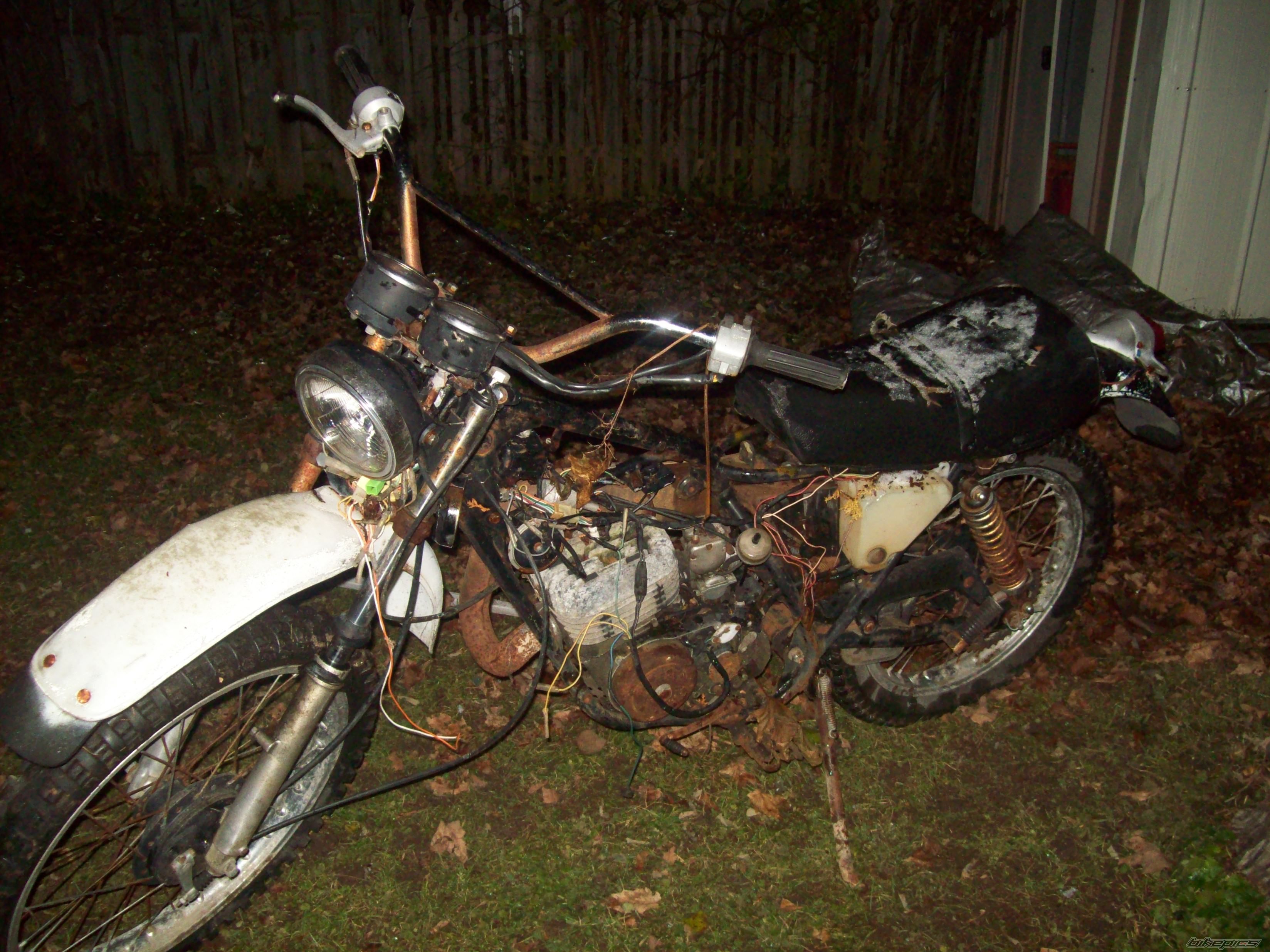 1976 SUZUKI TS 185 | Picture 1484669 motorcycle photo