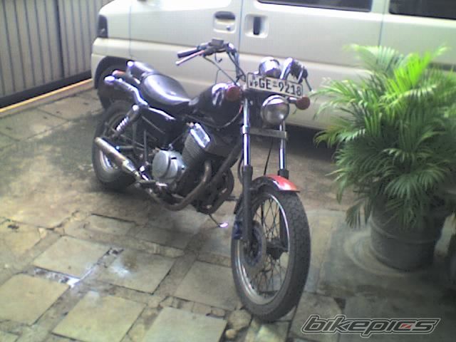 1999 HONDA CA 250 REBEL | Picture 1485027 motorcycle photo