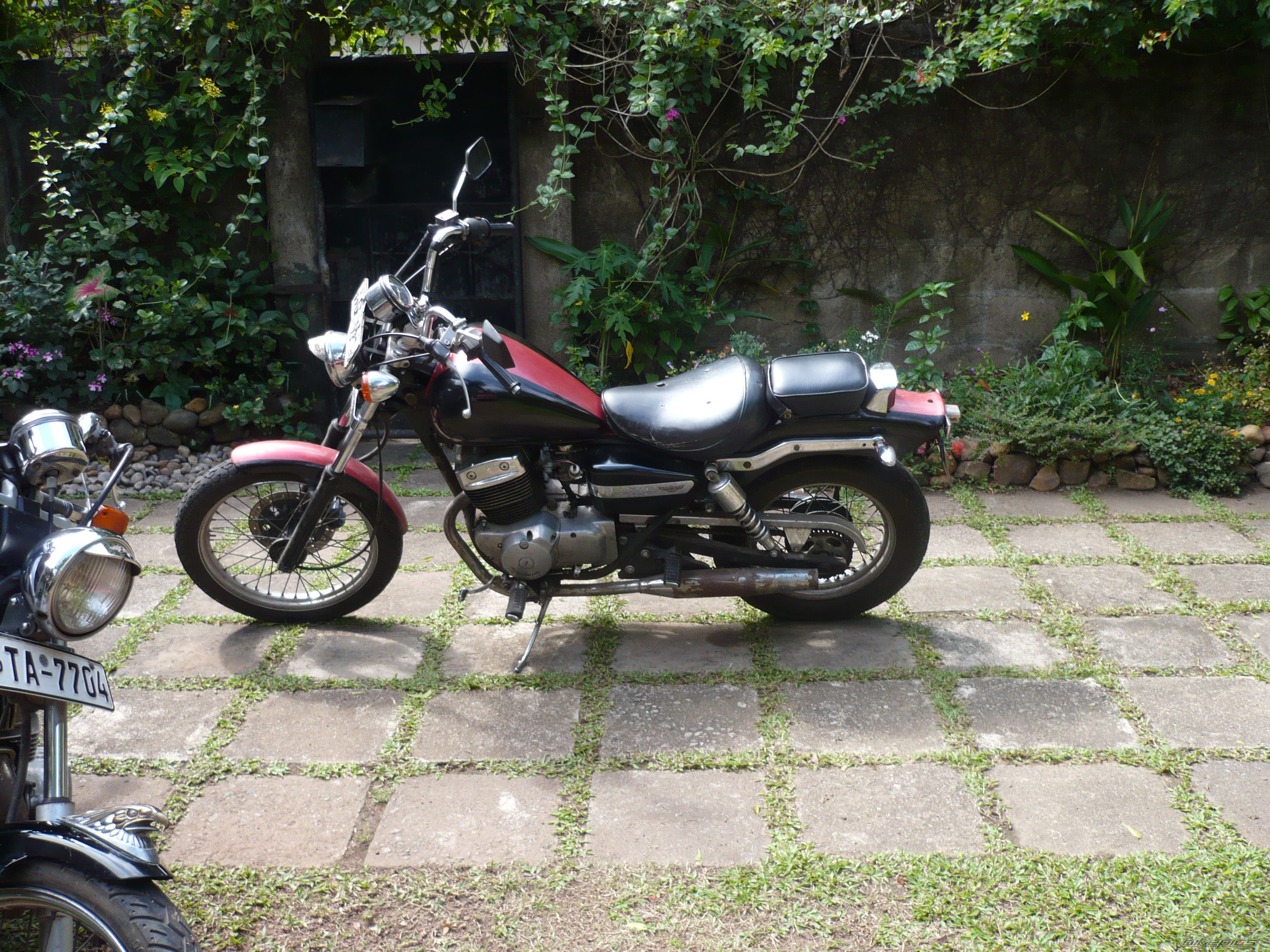 1999 HONDA CA 250 REBEL | Picture 1485069 motorcycle photo